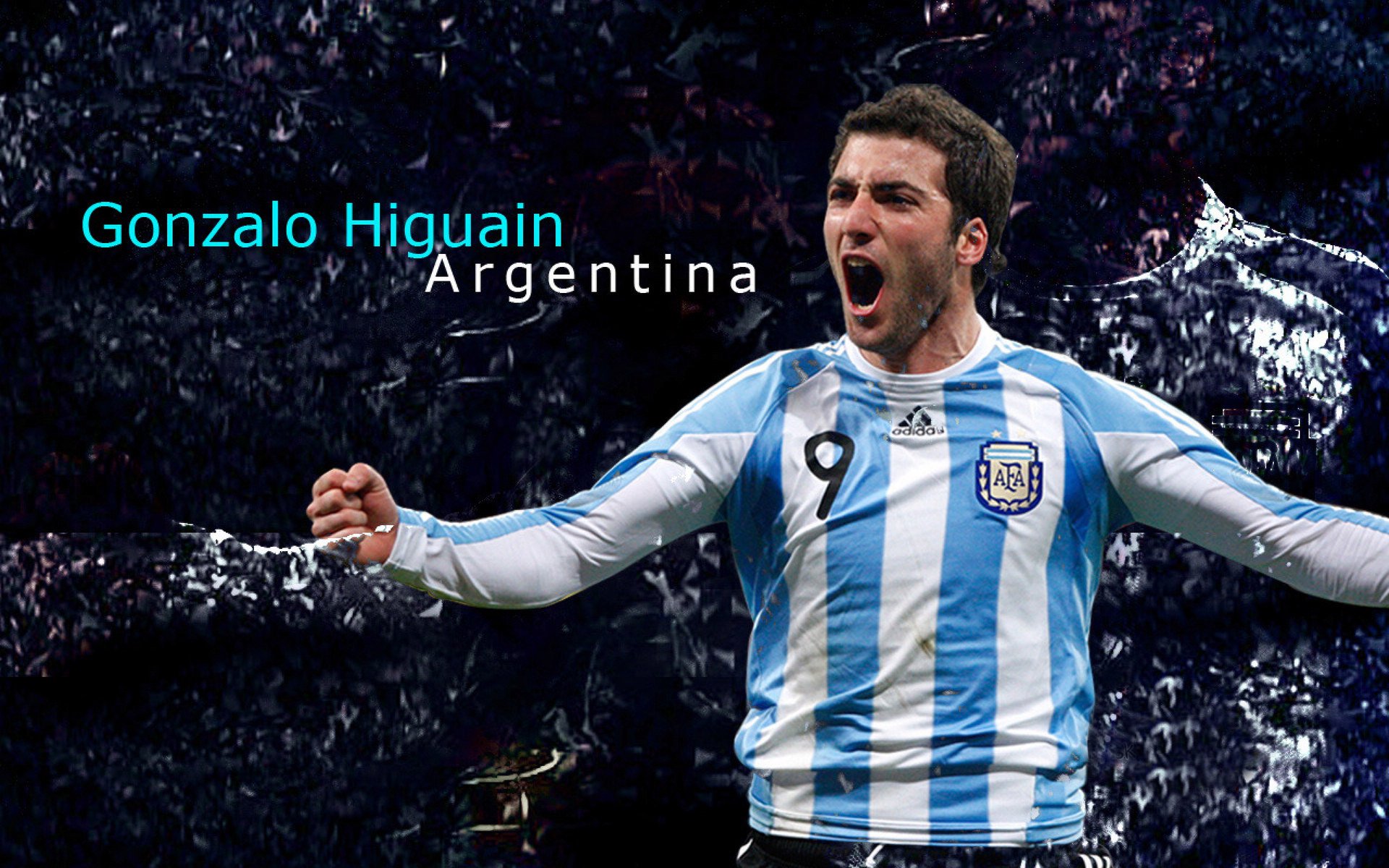 湖人球员与球迷互动合照登上社交热搜榜，湖人队球员合照